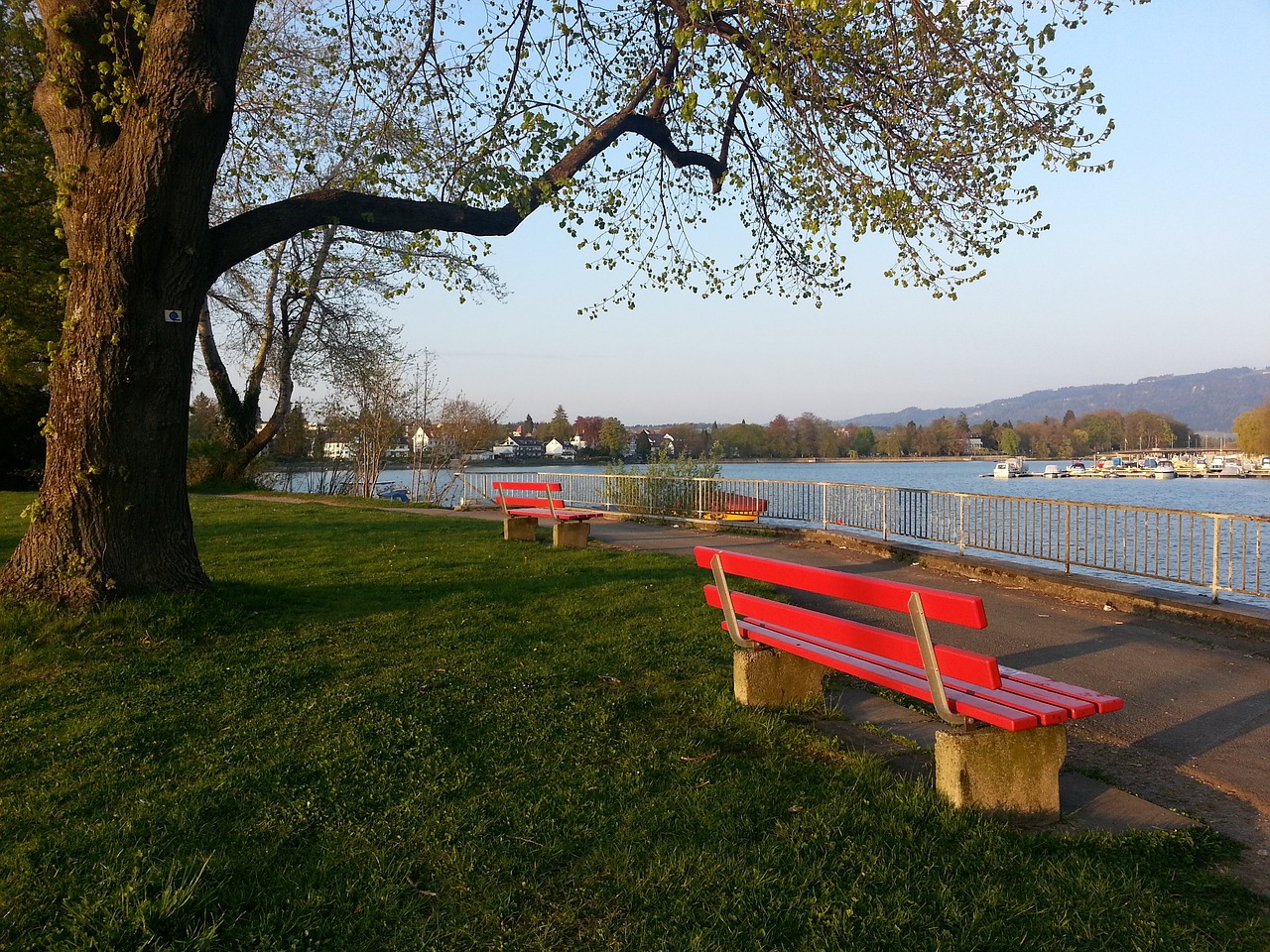 第一种子球 第一种子球