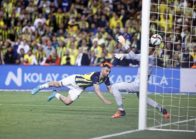 他們不僅需 他們不僅需