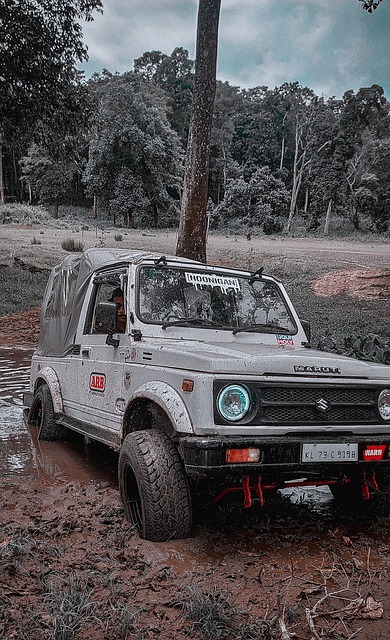 此预测主要 此预测主要