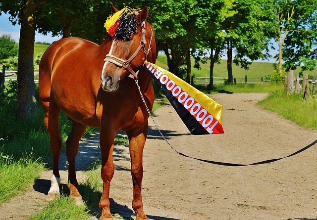 续进步的态 续进步的态