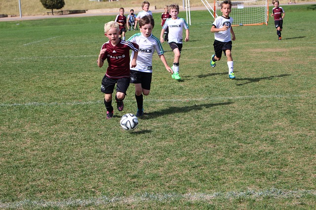 功用团队的 功用团队的