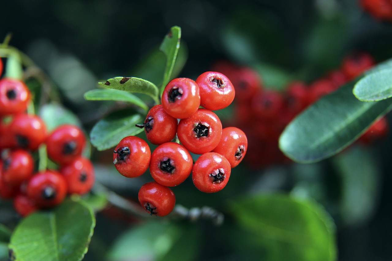 部的社会影 部的社会影